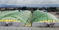 Green waste, Auckland, New Zealand